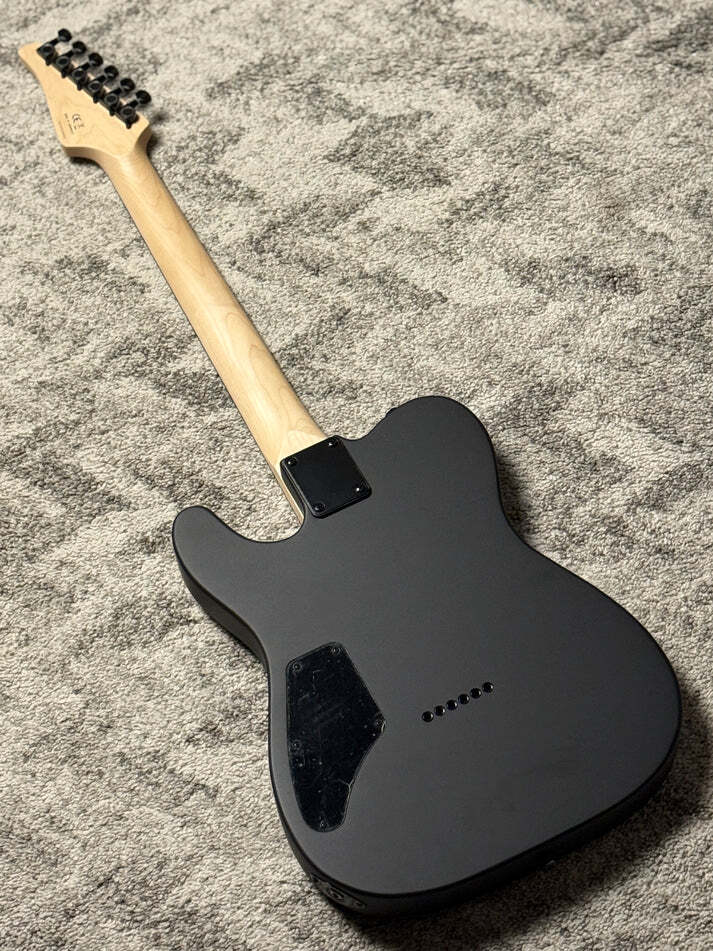 SLX Raven Modern Essentials 22 with Rosewood FB in in Satin Black