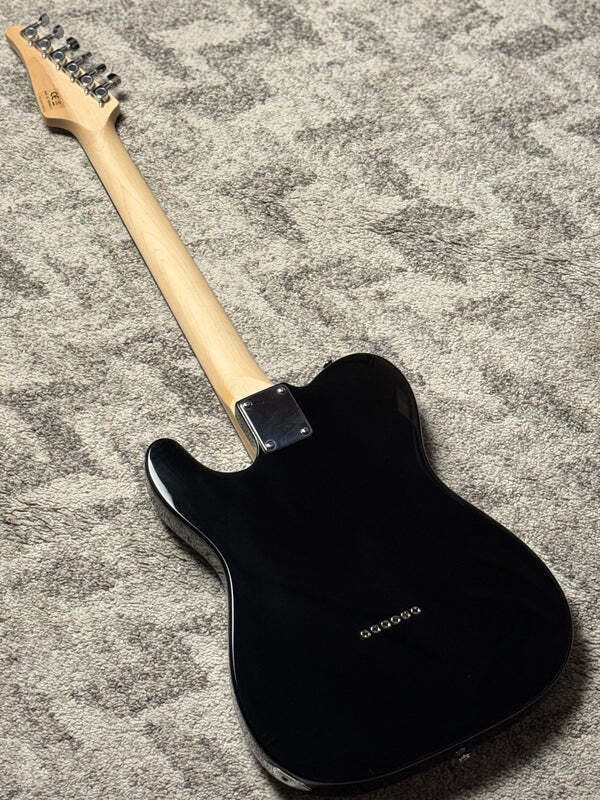 SLX Raven Classic Essentials 22 with Rosewood FB in in Black