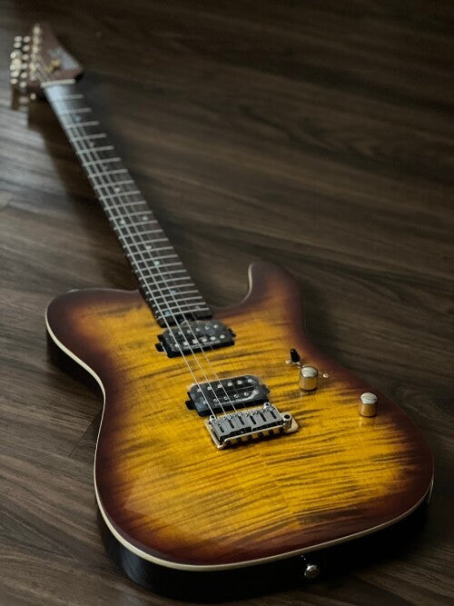 SLX Raven Modern Pro 24 HH in Tiger Eye Burst with Rosewood FB